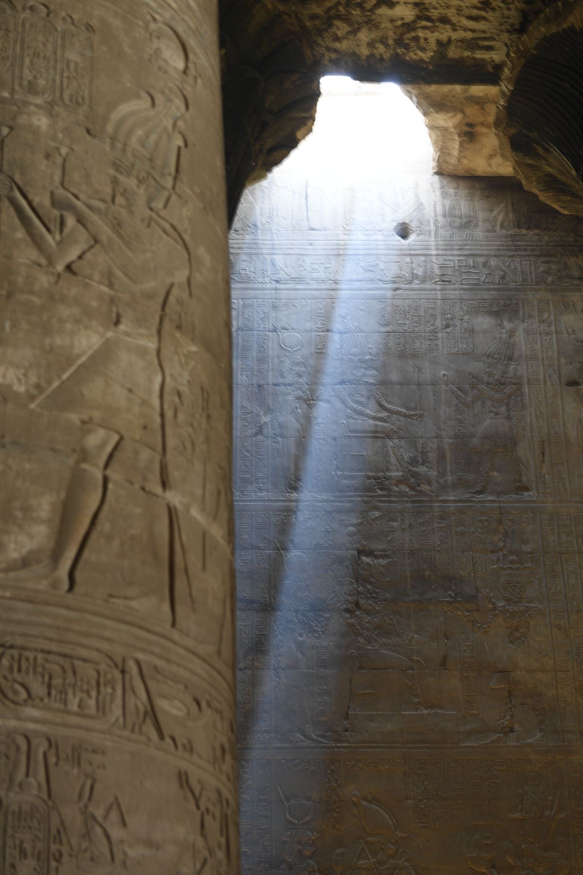 ©copyright Marco Giardini