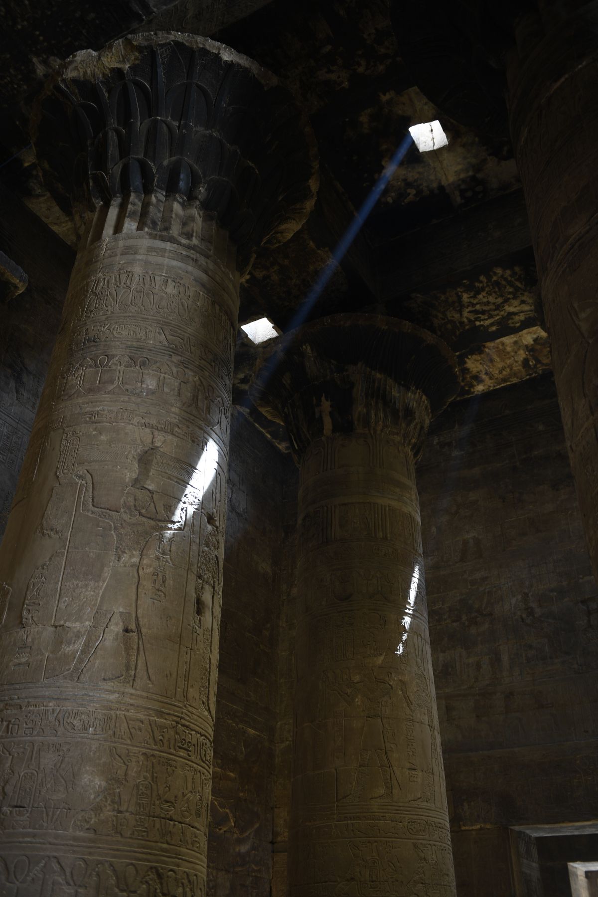 ©copyright Marco Giardini