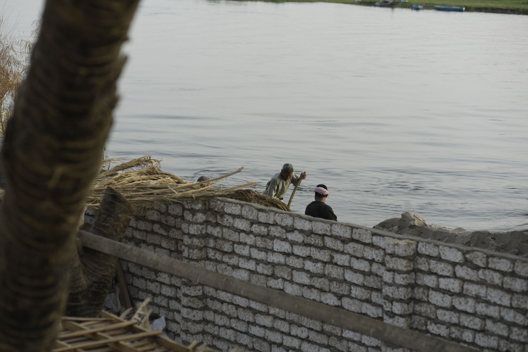 ©copyright Marco Giardini