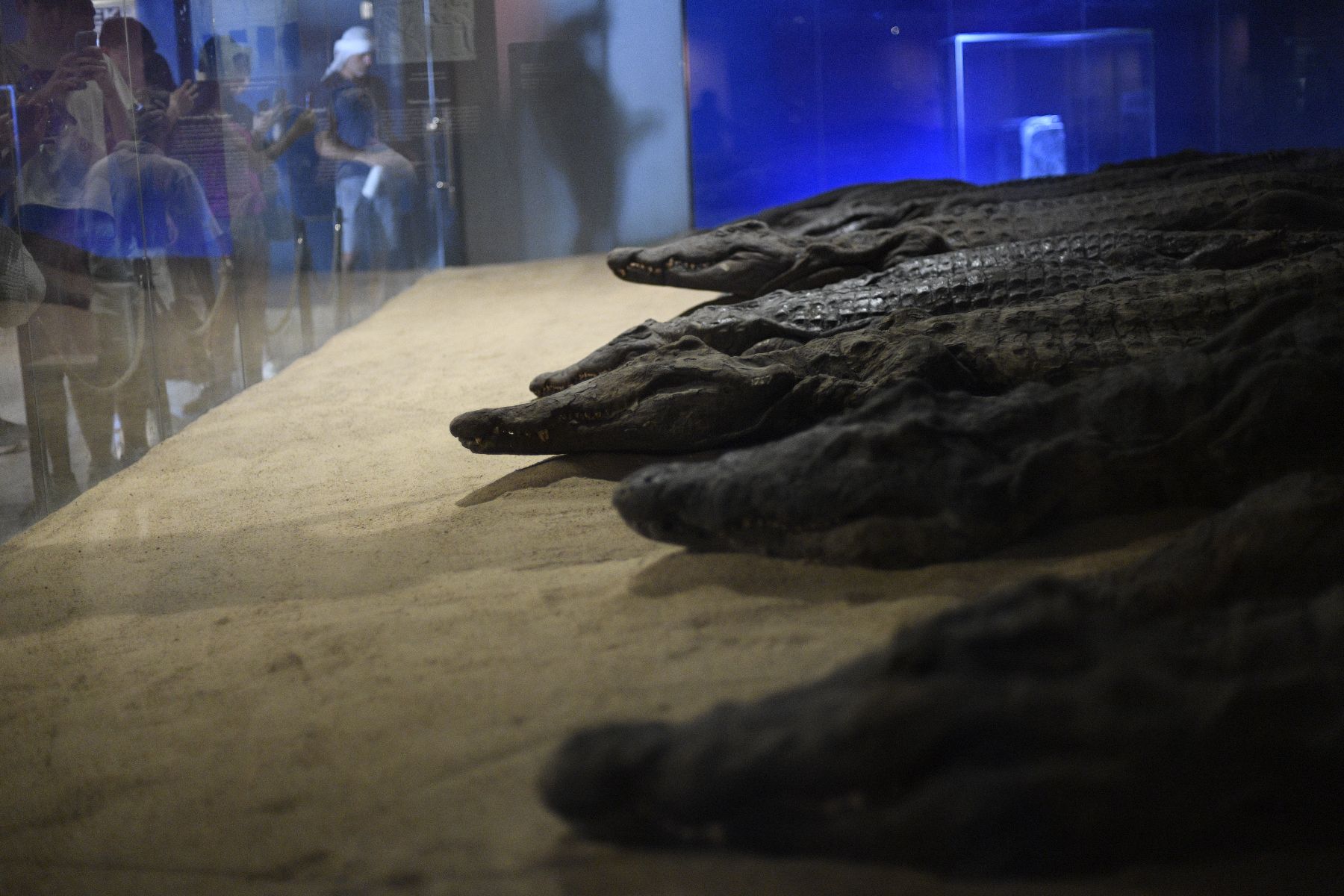 ©copyright Marco Giardini