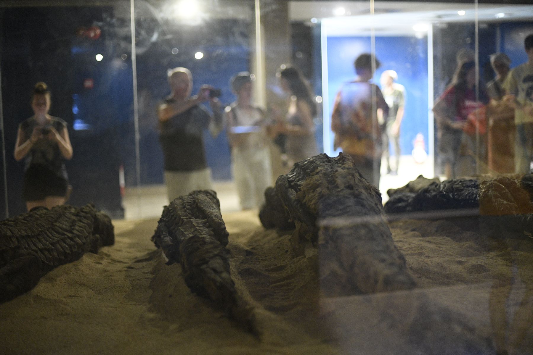 ©copyright Marco Giardini