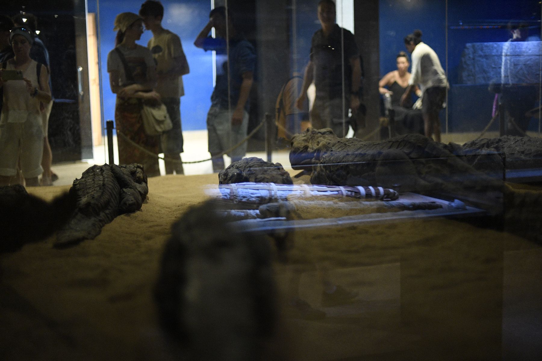 ©copyright Marco Giardini