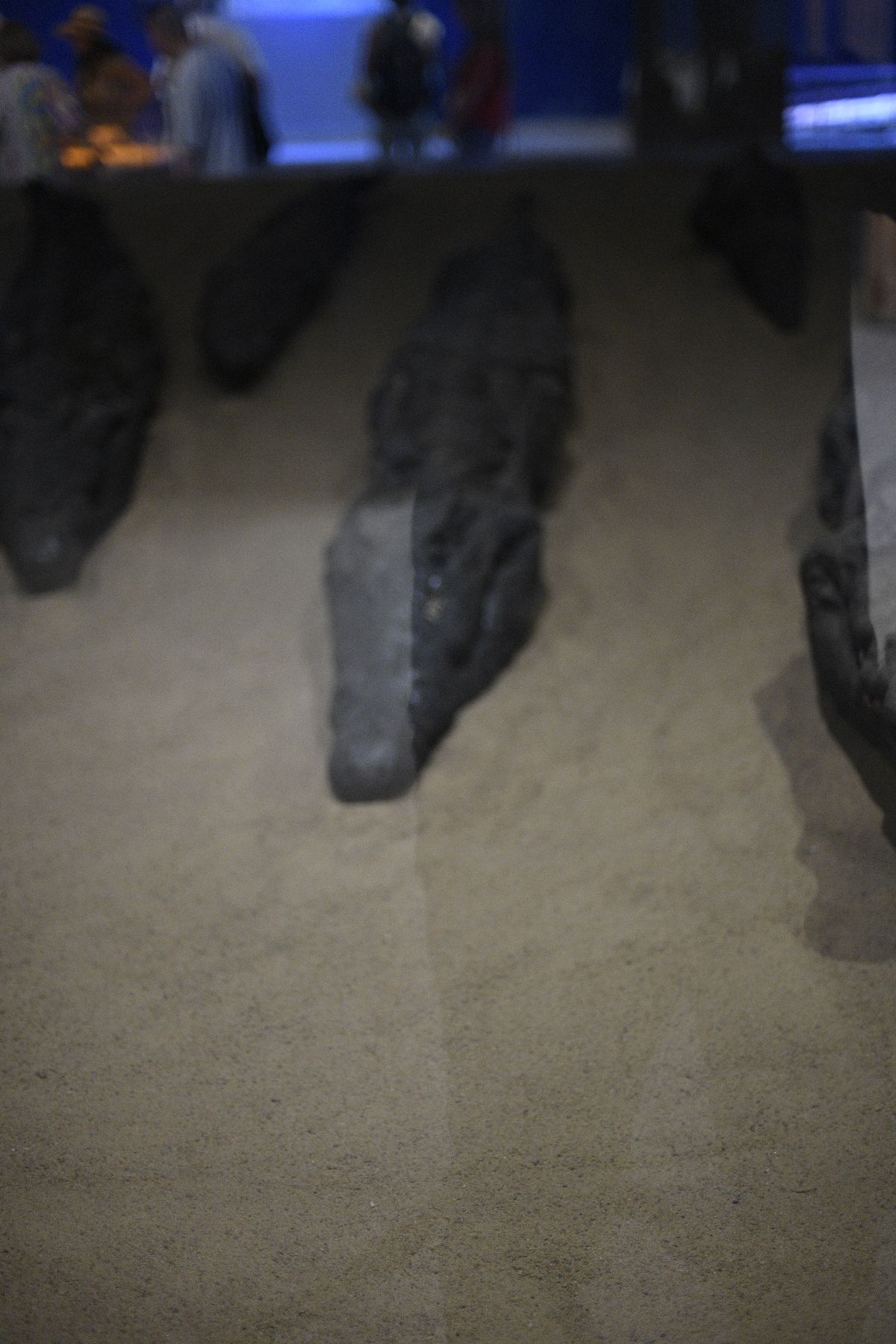 ©copyright Marco Giardini