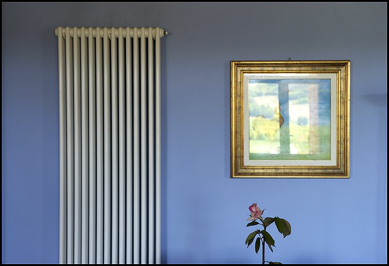 TV240 - ©copyright Marco Giardini