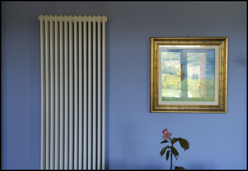 D3N9241 - ©copyright Marco Giardini