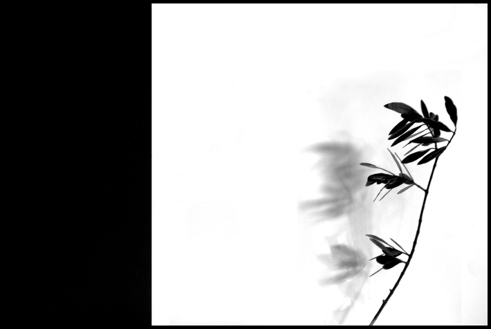 Mg1 - ©copyright Marco Giardini