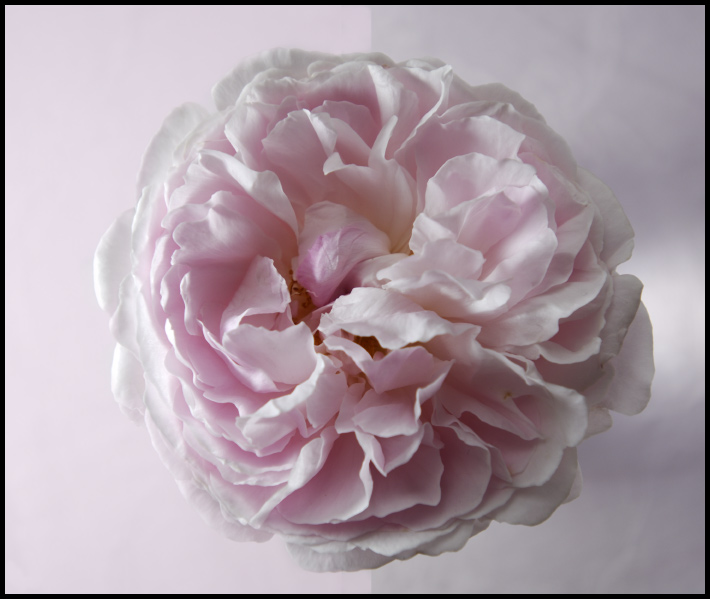 Mg2 - ©copyright Marco Giardini