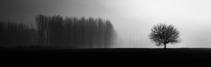 ©copyright Marco Giardini