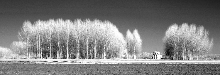 ©copyright Marco Giardini