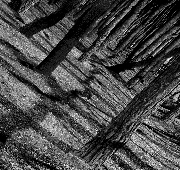 ©copyright Marco Giardini