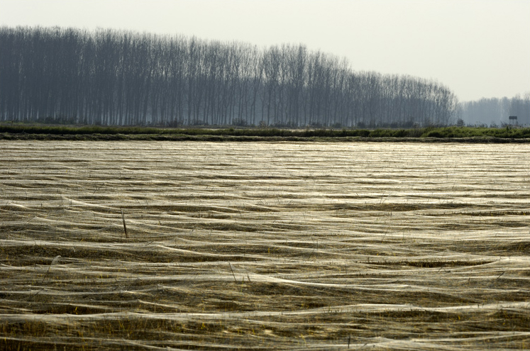 ©copyright Marco Giardini