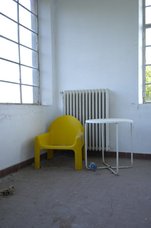 Nk1026782905 - ©copyright Marco Giardini