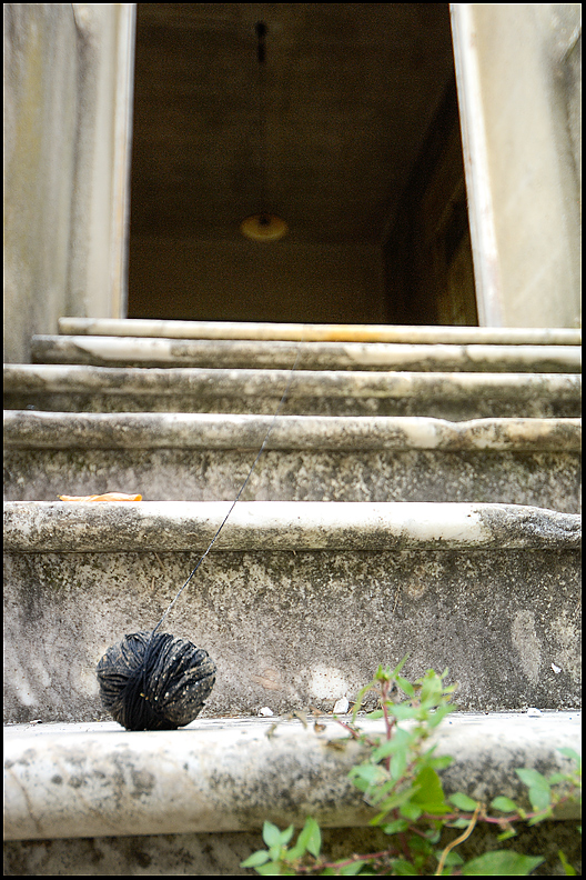 Nk1026784478 1 - ©copyright Marco Giardini