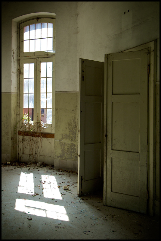 DMG2984 - ©copyright Marco Giardini