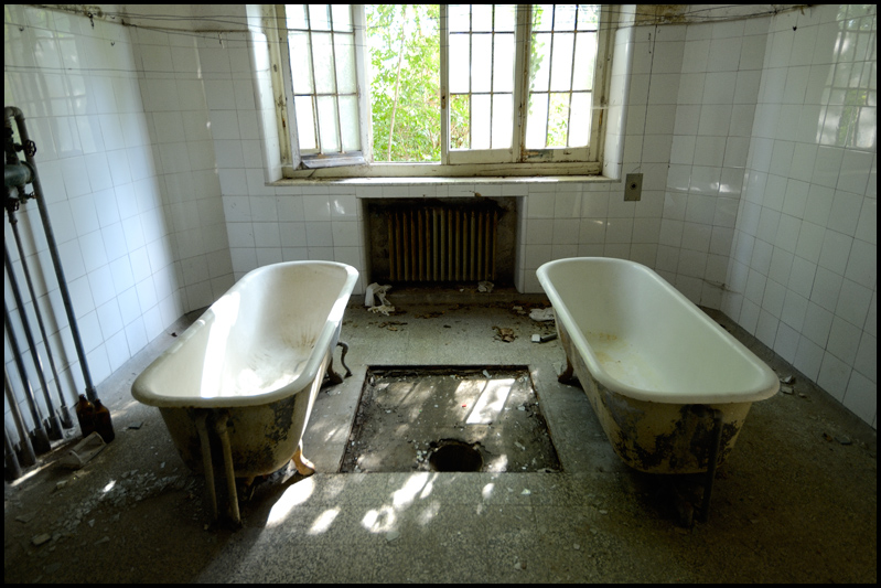 DMG2994 - ©copyright Marco Giardini