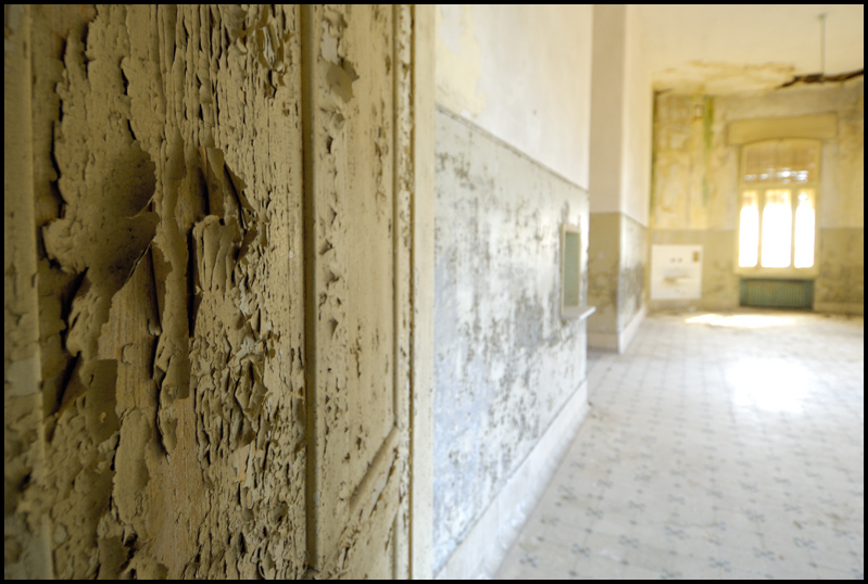 ©copyright Marco Giardini