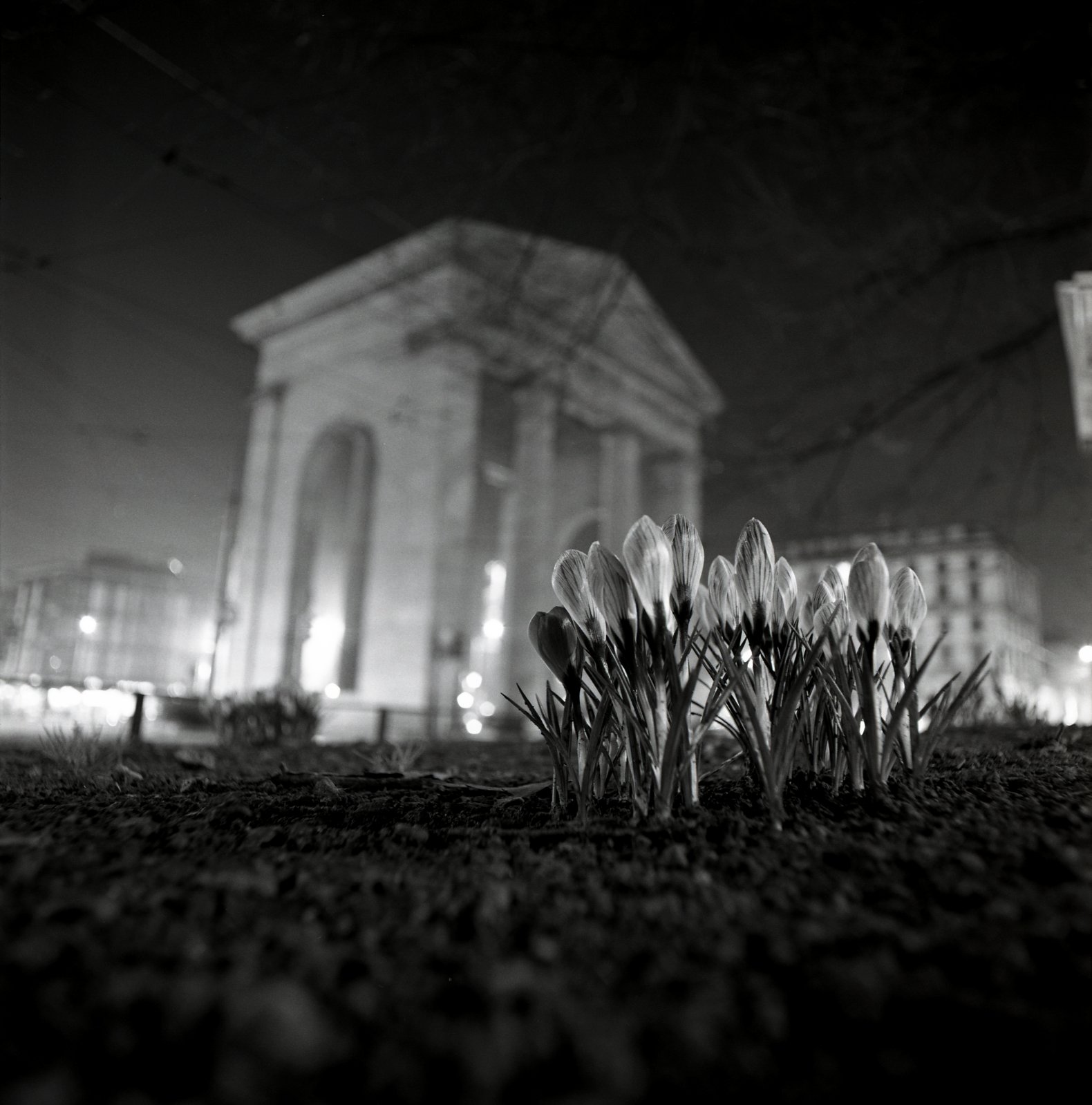 Ticinese1 - ©copyright Marco Giardini