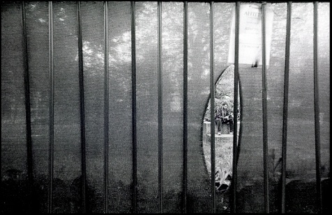 Reading park1 - ©copyright Marco Giardini