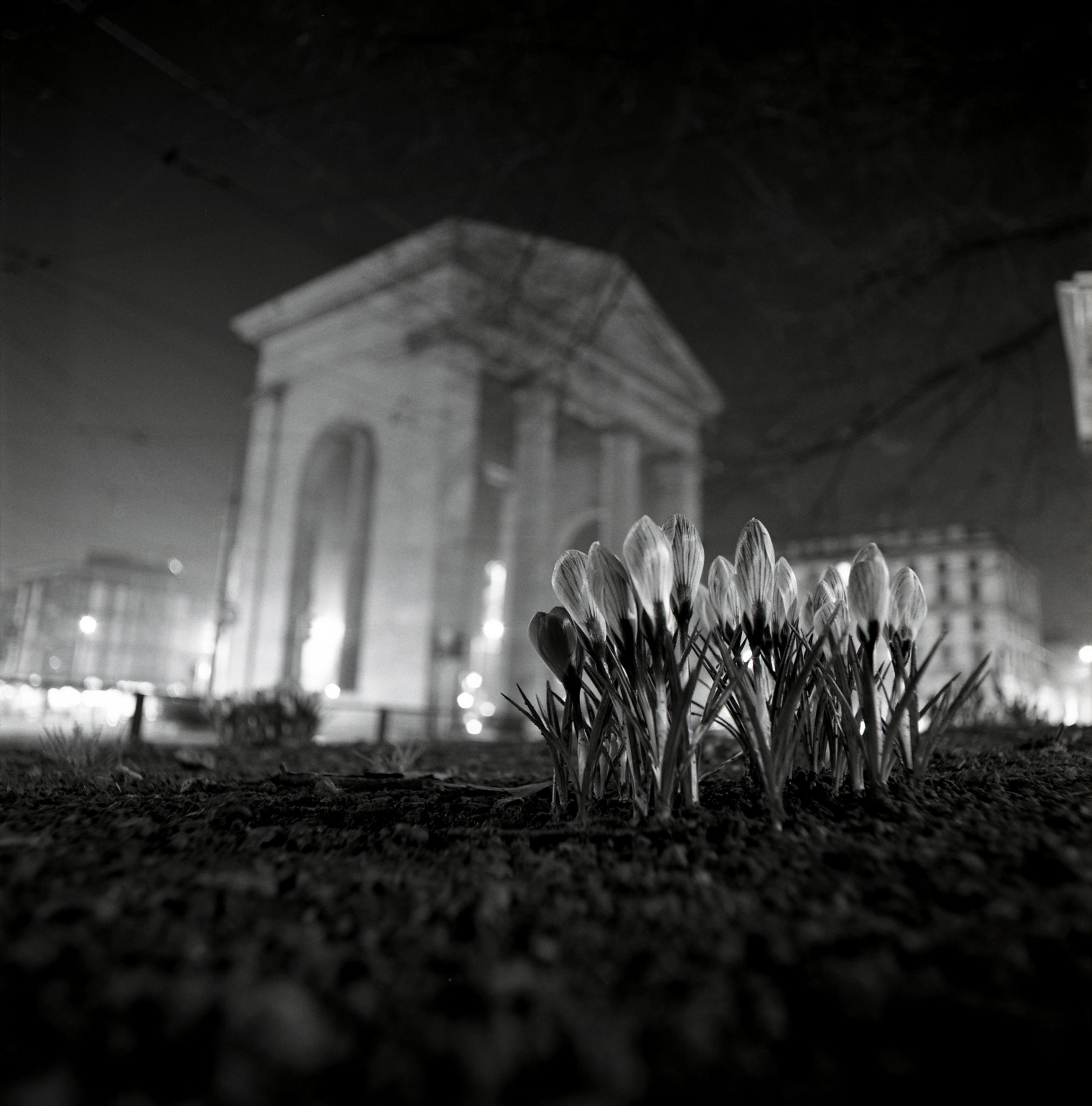 Ticinese1 - ©copyright Marco Giardini